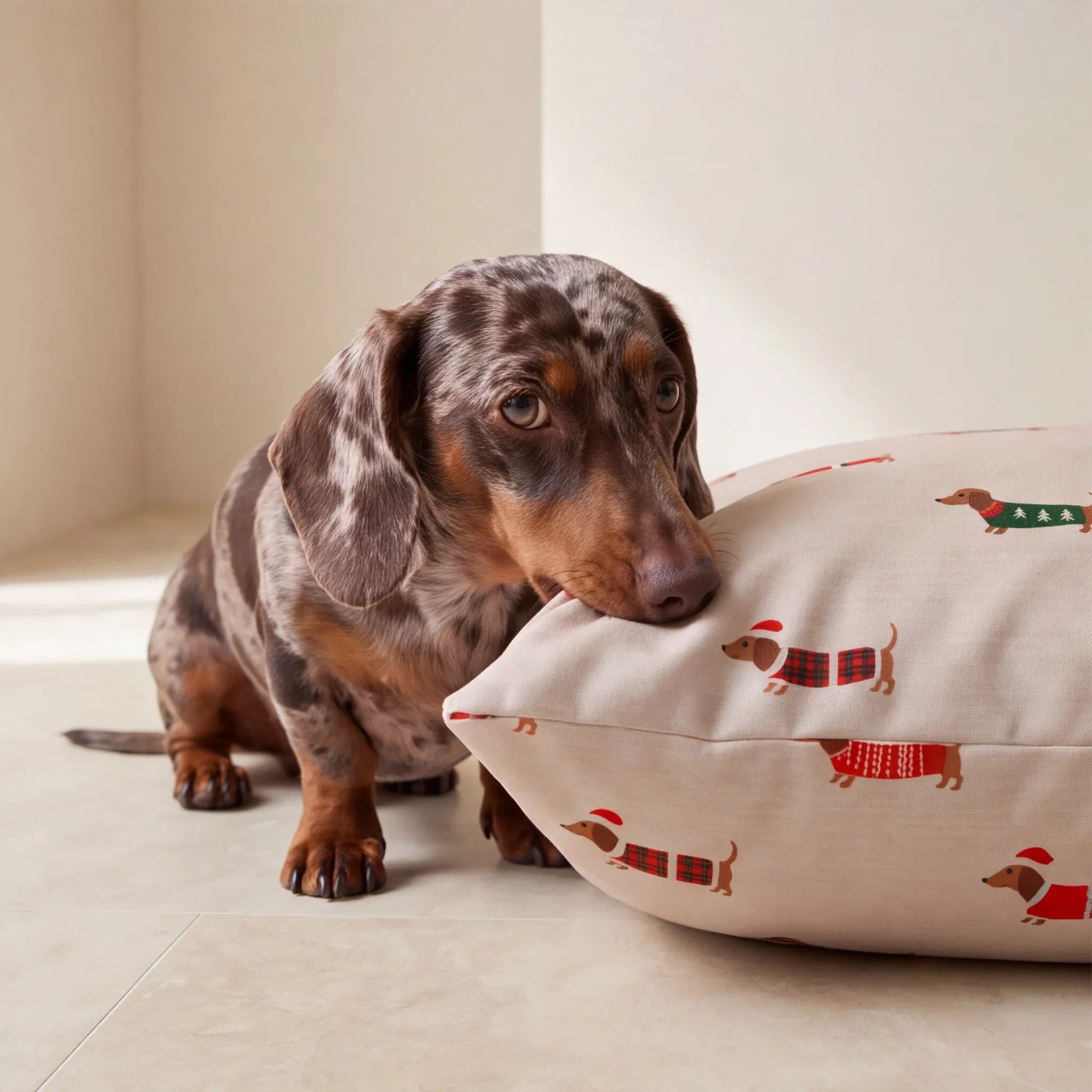Pack cama de mascota + Funda para cama de mascota Jetino