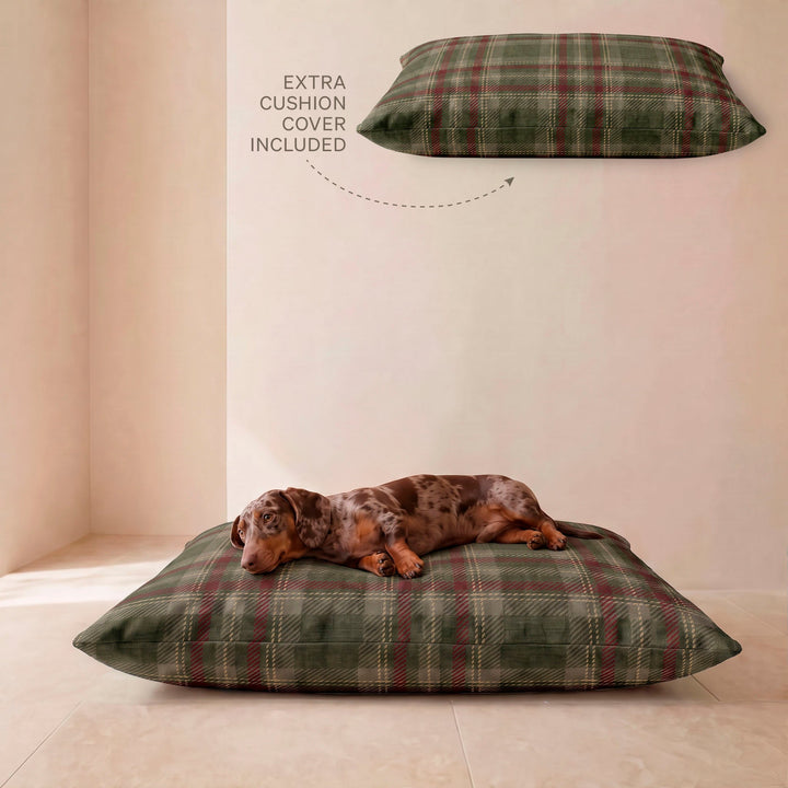 Pack cama de mascota + Funda para cama de mascota Priyala 12