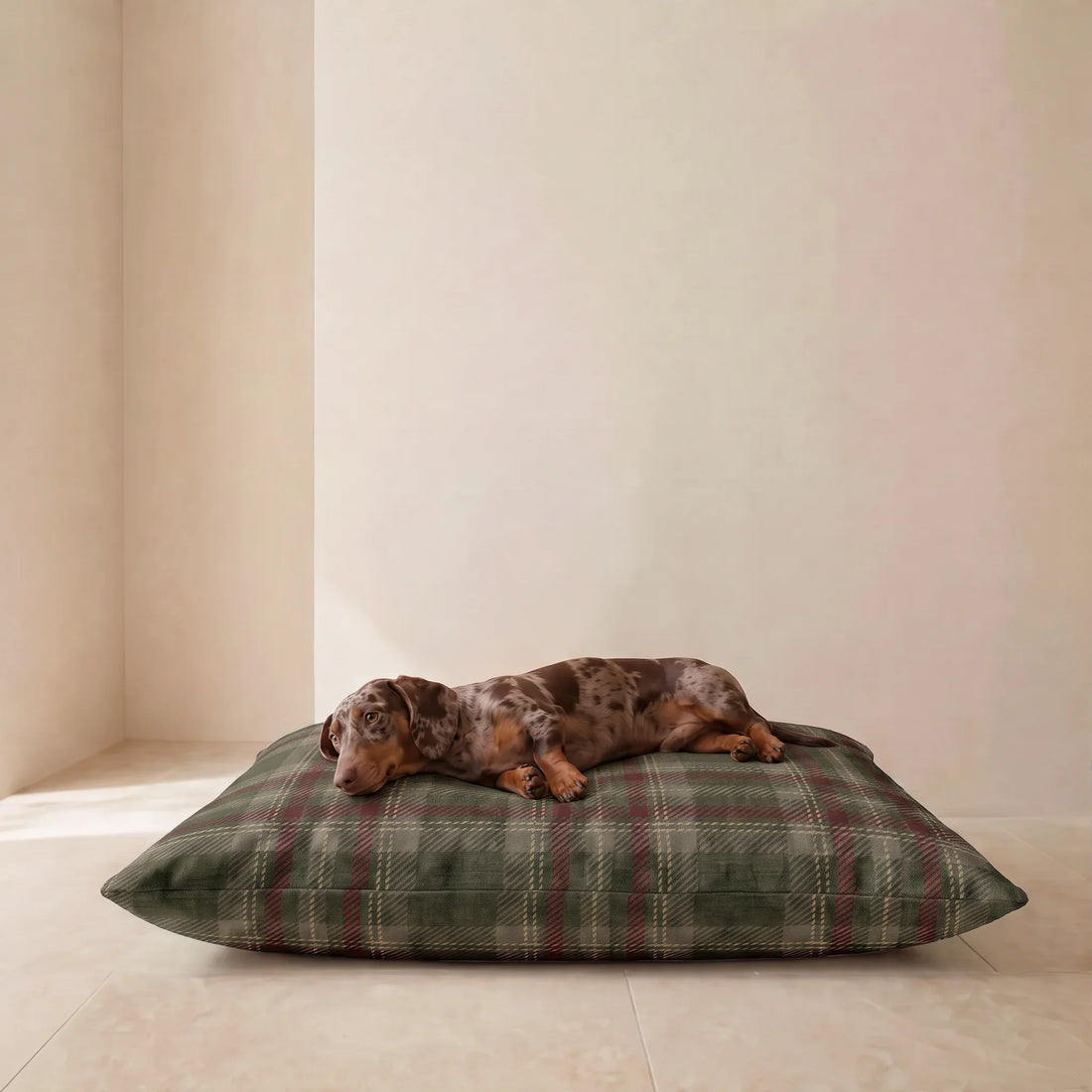 Funda para cama de mascota antimanchas Priyala 12