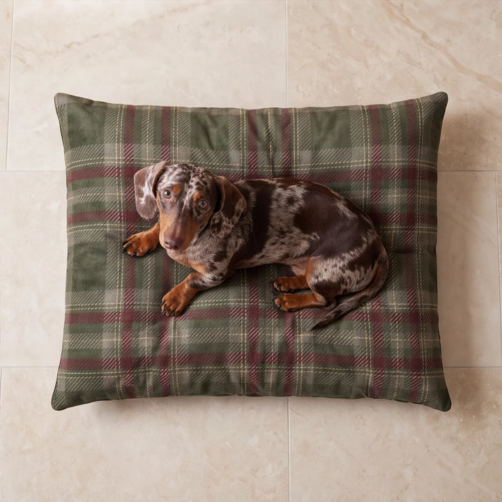 Cama para mascotas desenfundable antimanchas Priyala 12