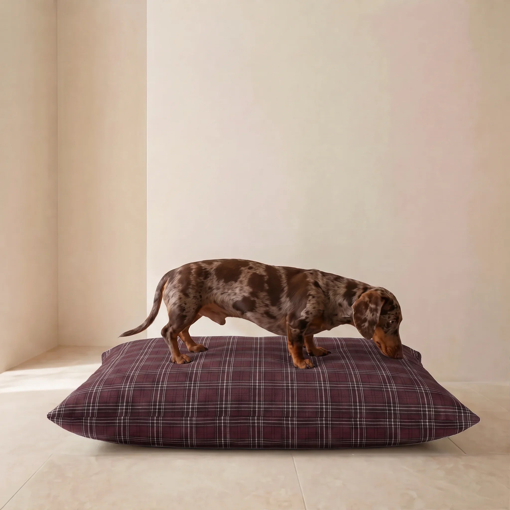 Cama para mascotas desenfundable antimanchas Ritika 12