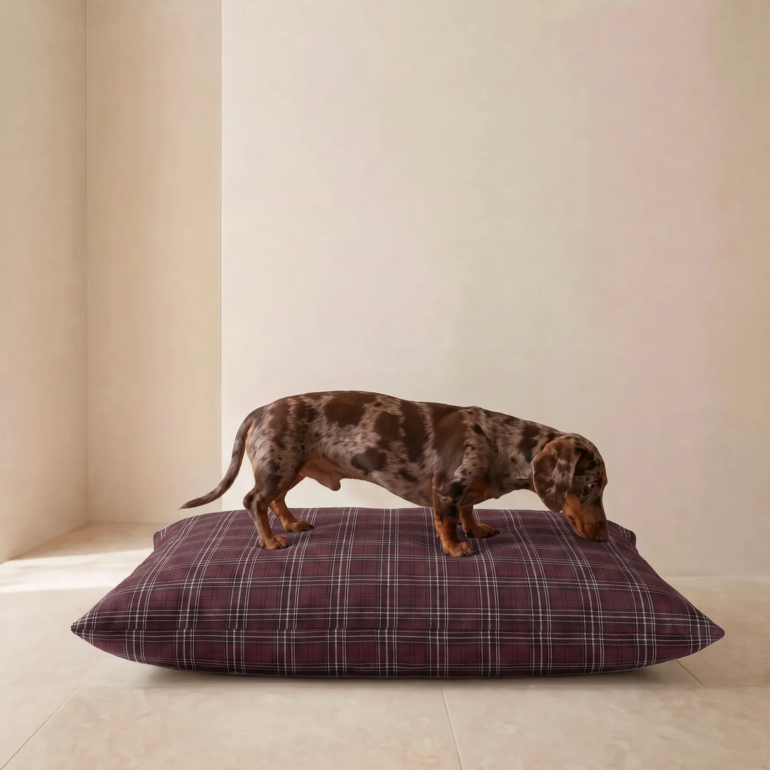 Funda para cama de mascota antimanchas Ritika 12