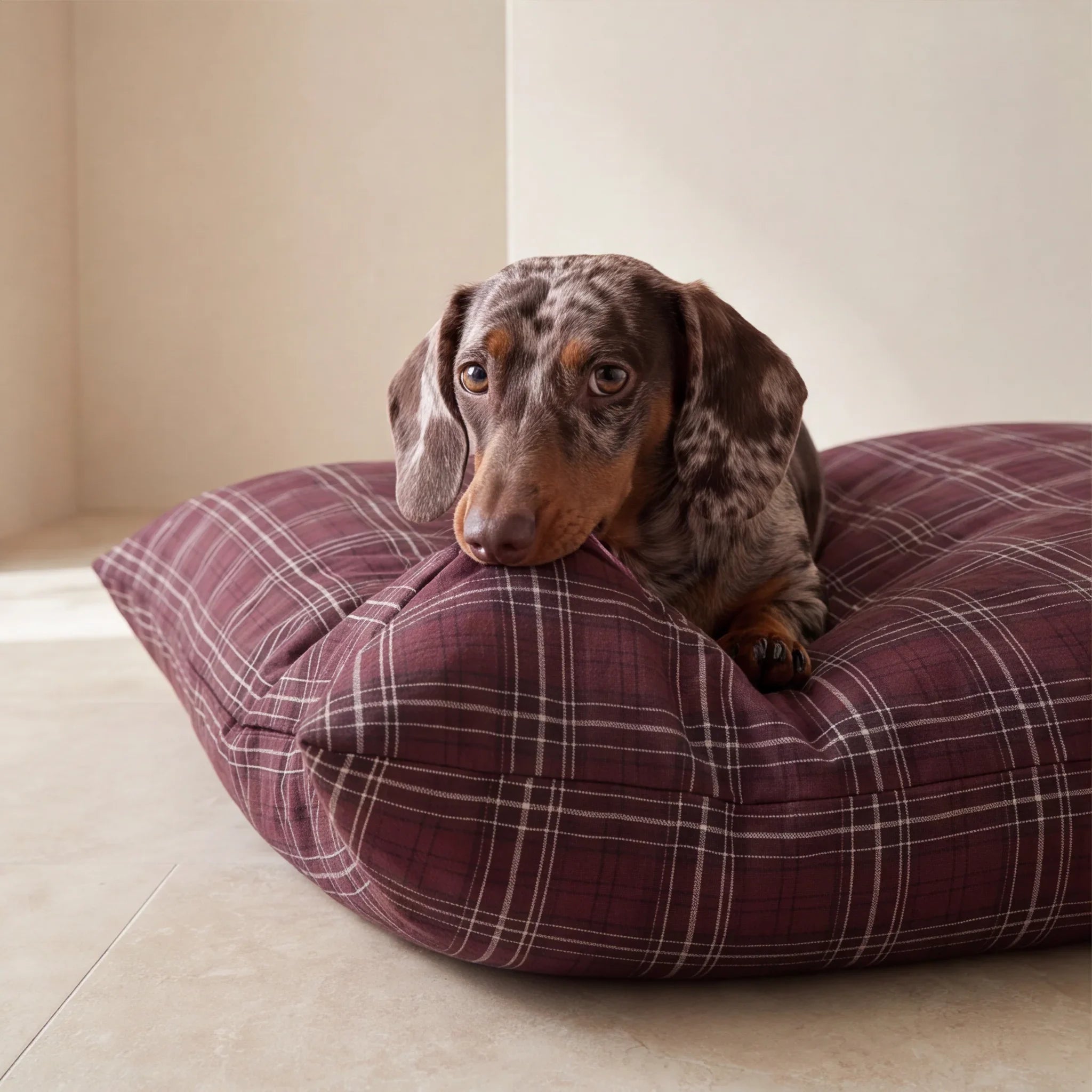 Cama para mascotas desenfundable antimanchas Ritika 12