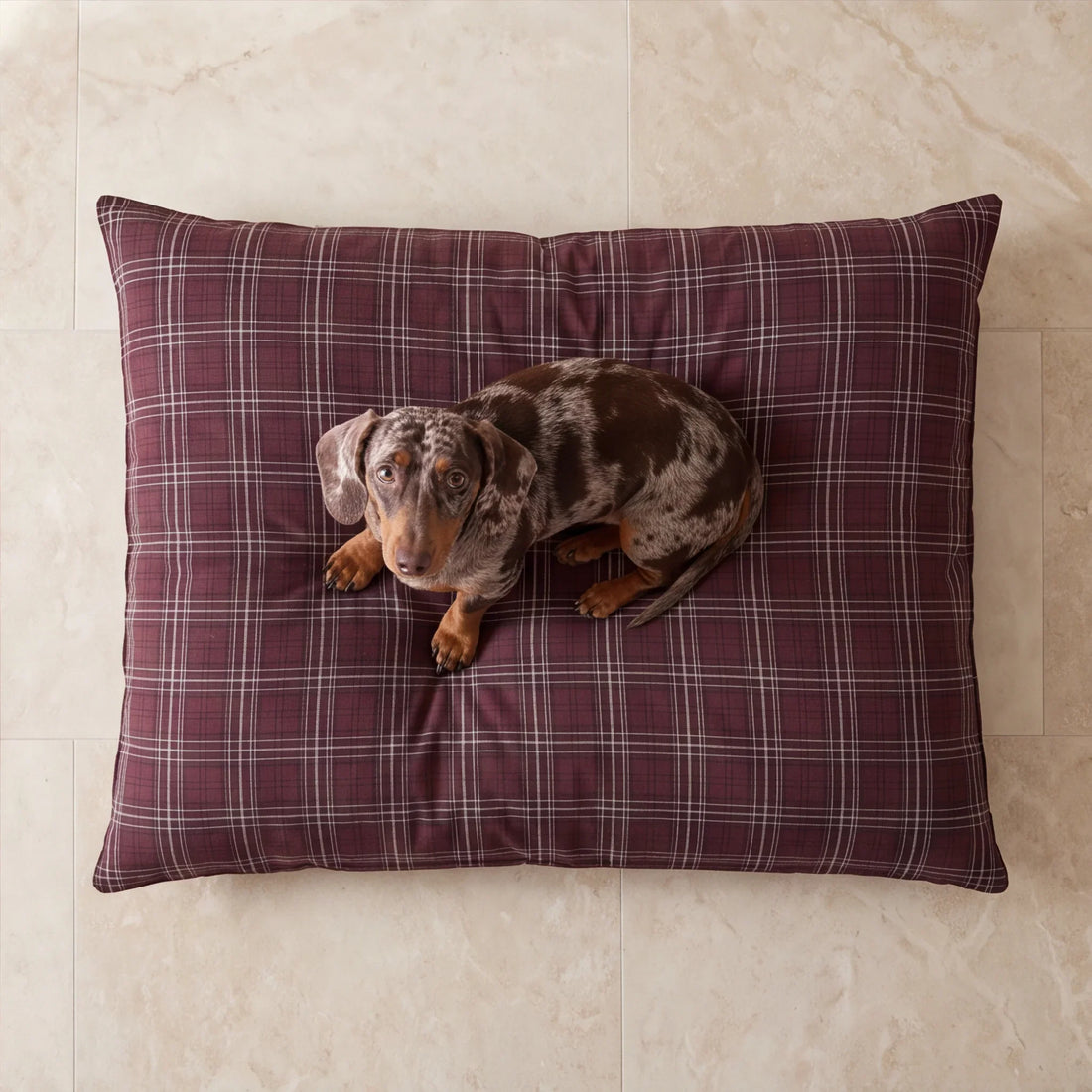 Cama para mascotas desenfundable antimanchas Ritika 12