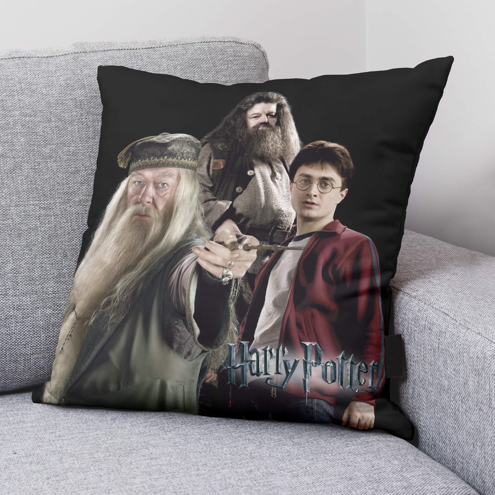 Harry potter 2024 pillow cover