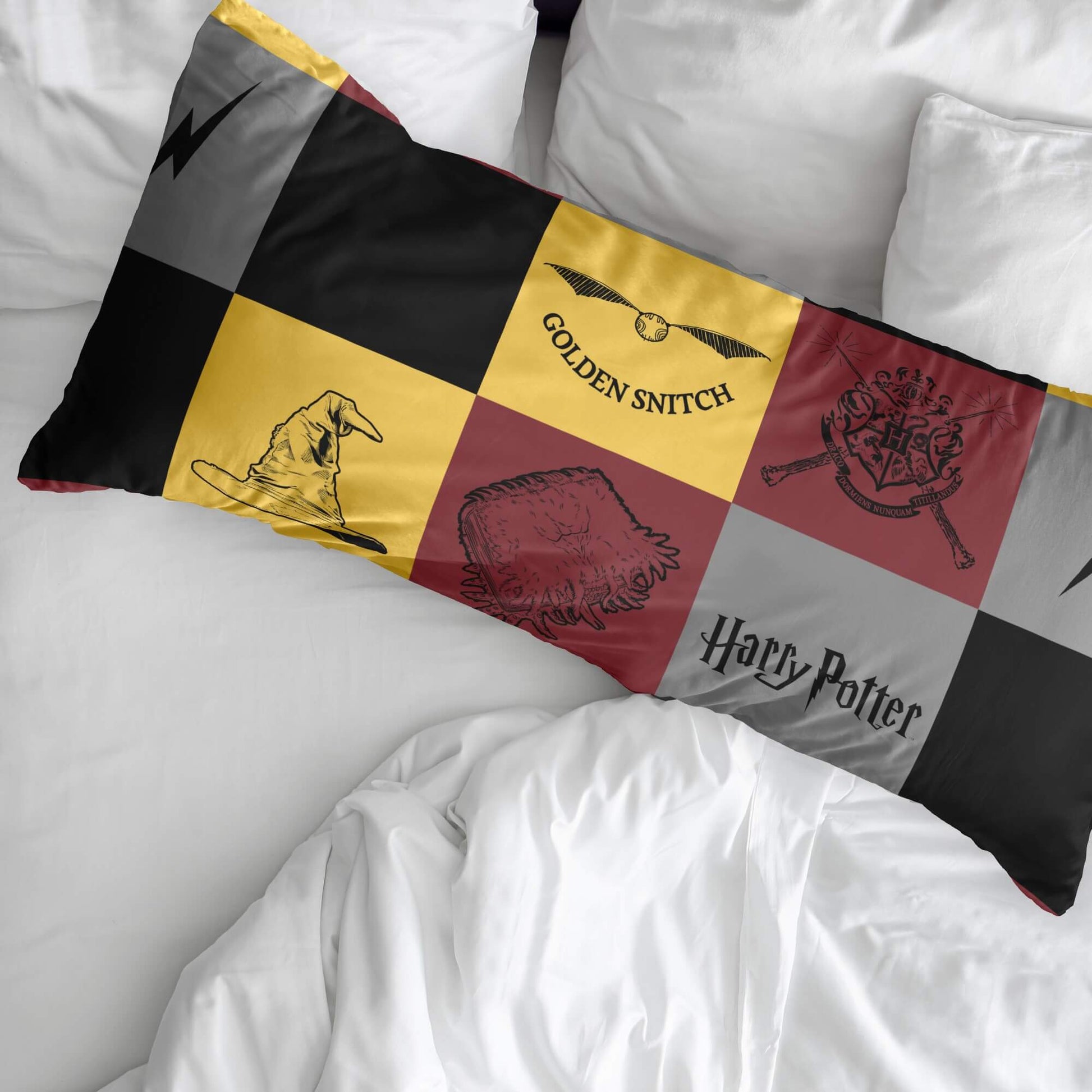 Funda de almohada 100% algodón Hogwarts Cuadros 2